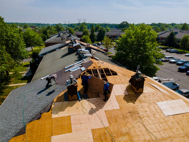 Trusted Flat Roof Repair service in Balsam, NC - Brentwood Metal Roofing